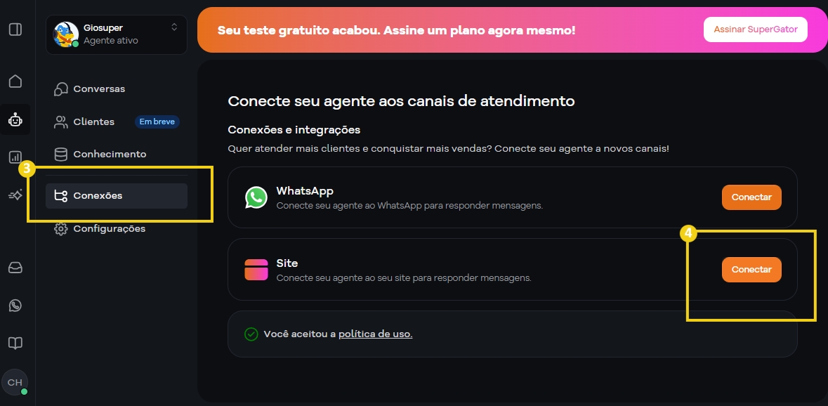 Imagem de uma tela de conexão de canais de atendimento ao cliente em um painel de gerenciamento de um sistema de suporte, mostrando opções de conexão via WhatsApp e site.